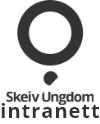 Intranett Logo